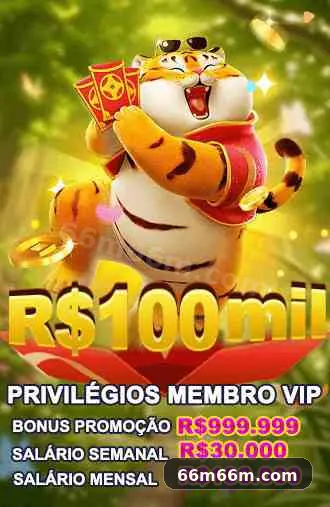 Imagem promocional da 66m mostrando a plataforma e suas vantagens